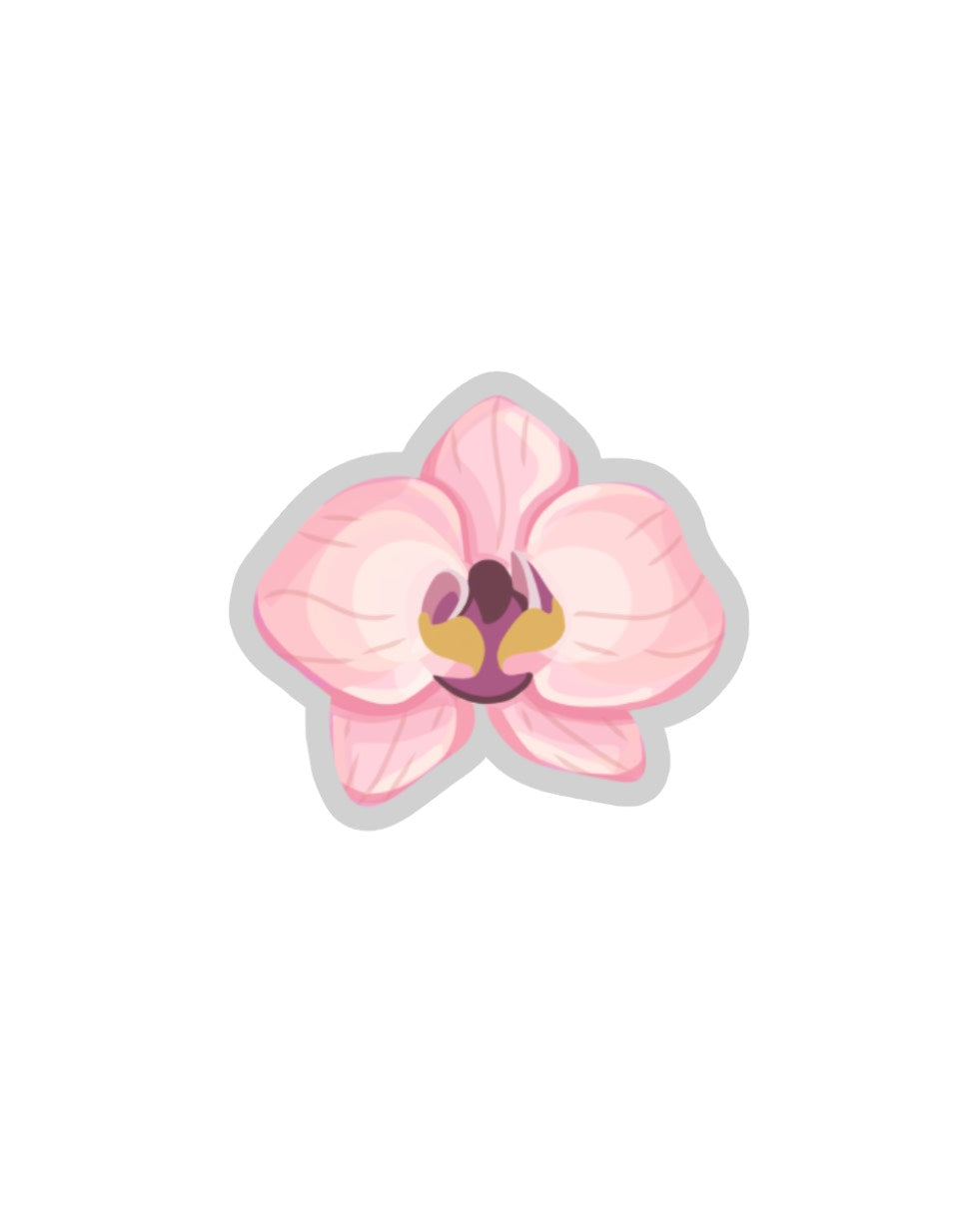 POPSTAND - DREAM PETAL PINK